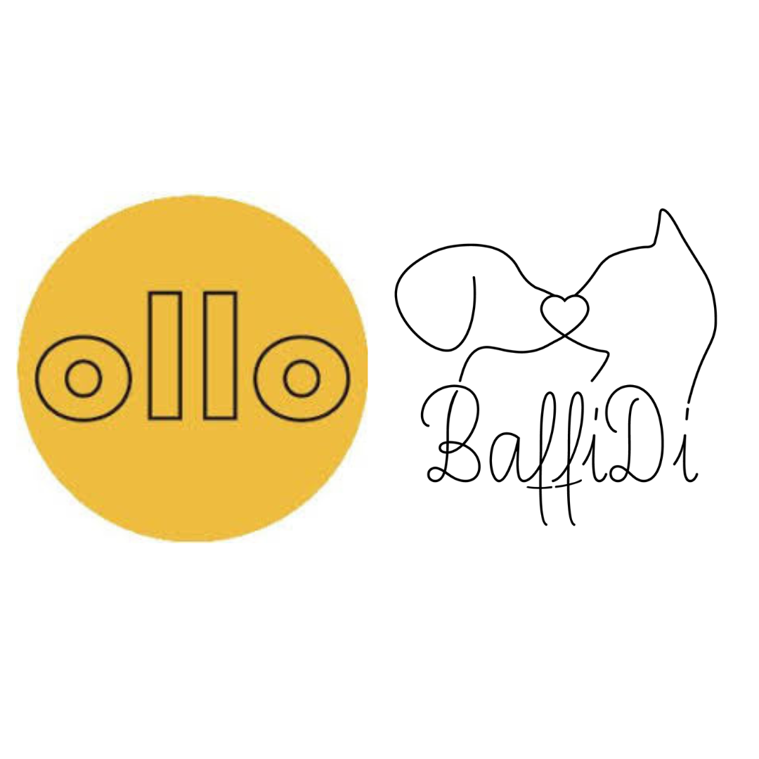 Ollo & BaffiDi