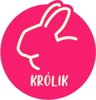 Królik
