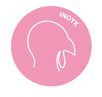 Indyk