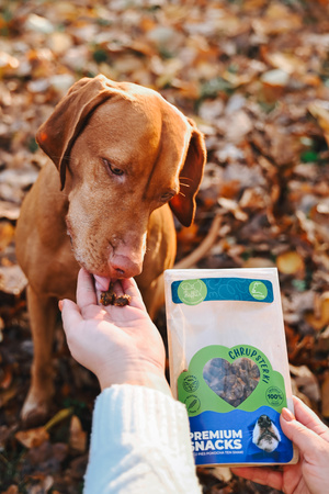 ChrupSterki dla psa - wołowina 90g