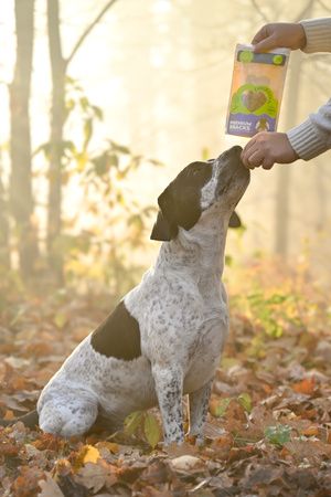 ChrupSterki dla psa - wołowina 90g
