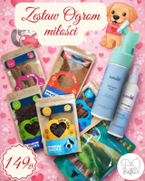 Zestaw Ogrom Miłości dla psa – Psi Walentynki od BaffiDi