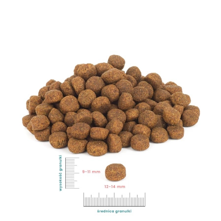PERRO Karma sucha dla psa Wołowina z jagnięciną – bezzbożowa formuła dla psów dorosłych średnich i dużych ras 1kg
