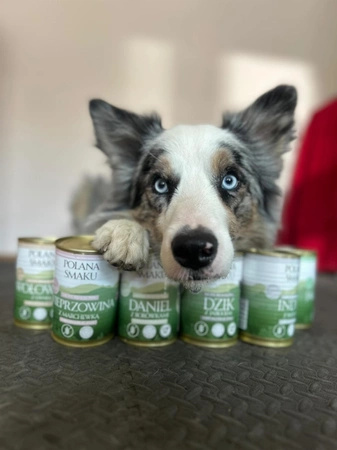 Polana Smaku Mokra karma dla psa Indyk z batatem 400g