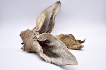 Ucho z sierścią dla psa - sarna 10szt