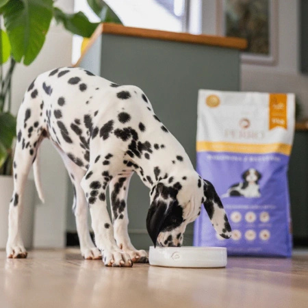 PERRO Karma Sucha Junior Wołowina z Batatami 1 kg – Bezzbożowa, Pełnoporcjowa Formuła Dla Szczeniąt Wszystkich Ras