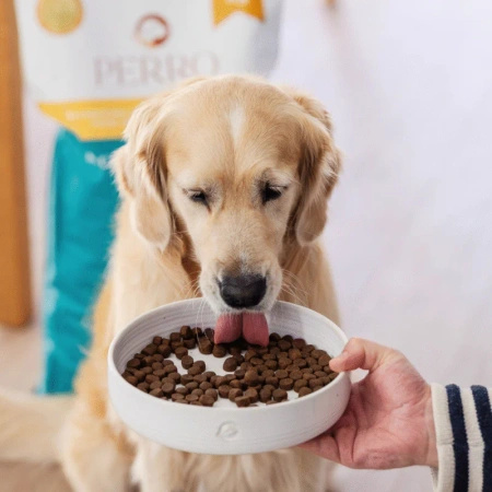 PERRO Karma sucha dla psa Kaczka z batatami – bezzbożowa formuła dla psów dorosłych średnich i dużych ras 1kg