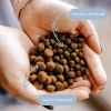 PERRO Karma sucha dla psa Indyk z batatami – bezzbożowa formuła dla psów dorosłych średnich i dużych ras 1kg