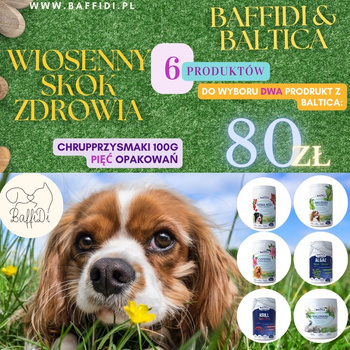 Zestaw Kwietniowy BaffiDi & Baltica: Wiosenny Skok Zdrowia