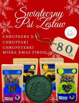 Świąteczny PsiZestaw BaffiDi – Magiczny Prezent dla Twojego Psa
