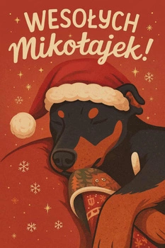 Mikołajkowa PsiPaka od BaffiDi – idealny prezent świąteczny dla Twojego psa!