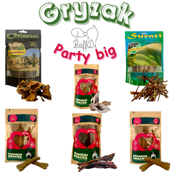 Naturalny Zestaw Gryzaków dla Psa – BaffiDi Party Big